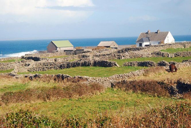 Aran Islands Bike Tour with Tea & Scones - Day Trip to Inisheer from Doolin - Why This Tour Offers Great Value