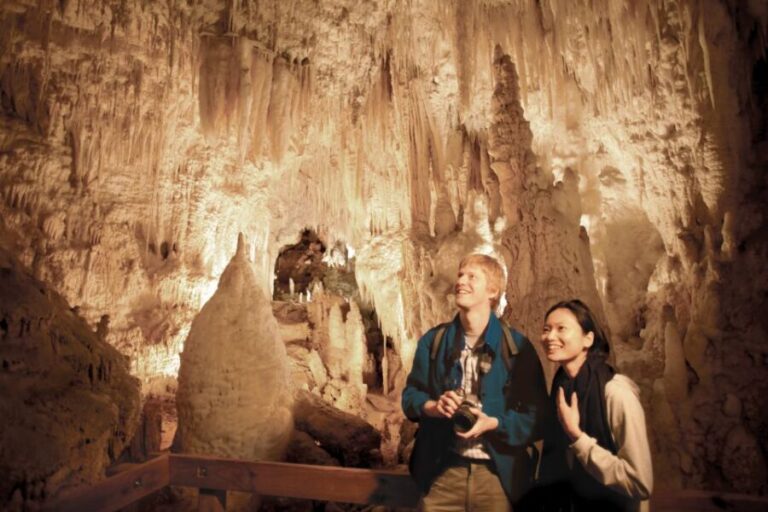 Aranui Cave 1-Hour Guided Tour - An In-Depth Look at the Aranui Cave Guided Tour