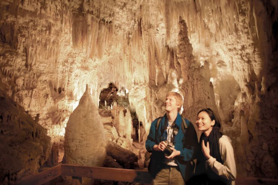 Aranui Cave 1-Hour Guided Tour - An In-Depth Look at the Aranui Cave Guided Tour