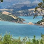 Arataki Conservation - our Journey to Protect our Whenua (land) - The Value of Your Ticket