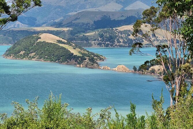 Arataki Conservation - our Journey to Protect our Whenua (land) - The Value of Your Ticket