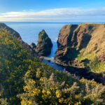 Arbroath: Seaton Cliffs Guided Walking Tour with Geologist - An In-Depth Look at the Seaton Cliffs Guided Tour