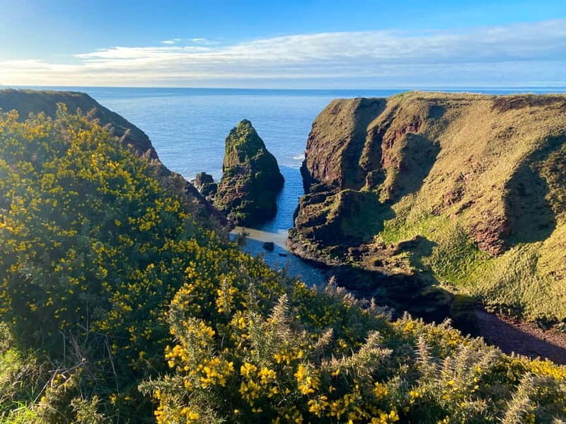 Arbroath: Seaton Cliffs Guided Walking Tour with Geologist - An In-Depth Look at the Seaton Cliffs Guided Tour