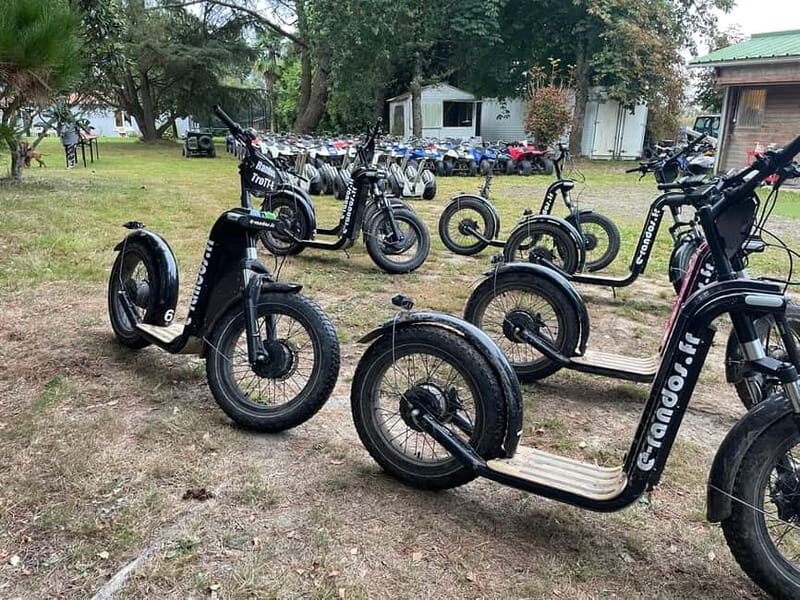 Arcachon Bay: electric scooter rides with a variety of routes. - An In-Depth Look at the Electric Scooter Tours of Arcachon Bay