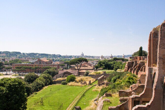 Archaeo Rome Guided Tour from the Roman Forum to Palatine Hill - Authentic Stories and Perspectives from Travelers