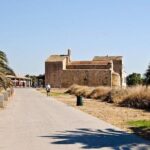 Archaeological tour of Nora - Why This Tour Offers Great Value