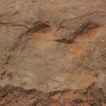 Arches National Park 4x4 Adventure from Moab - What Makes This Tour Stand Out?