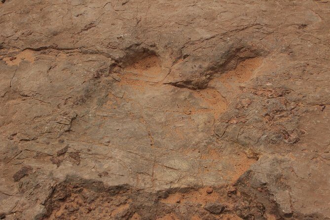 Arches National Park 4x4 Adventure from Moab - What Makes This Tour Stand Out?