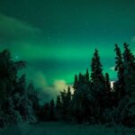 Arctic Adventure: Northern Lights Hunting with Snowmobiles - Authenticity and Value: Why This Tour Matters
