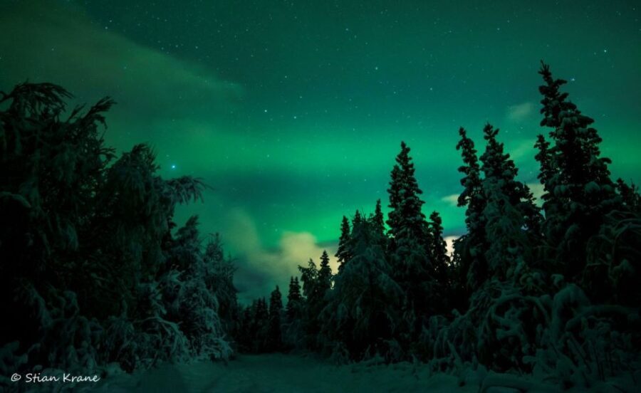 Arctic Adventure: Northern Lights Hunting with Snowmobiles - Authenticity and Value: Why This Tour Matters