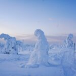 Arctic Adventure through Magical Frozen Forests of Riisitunturi - Practical Considerations