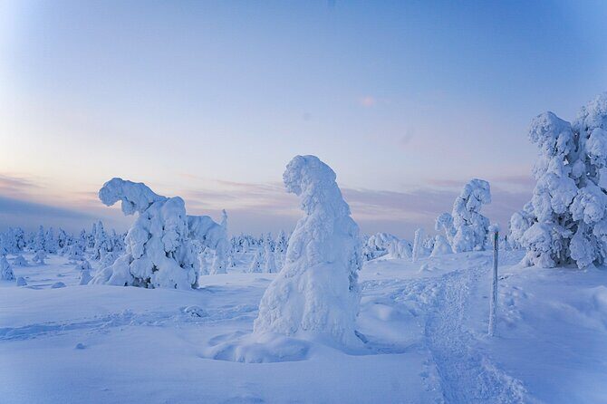 Arctic Adventure through Magical Frozen Forests of Riisitunturi - Practical Considerations
