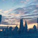 Arctic Circle Day Tour Adventure - Transportation and Group Size