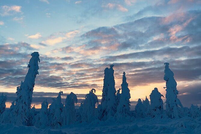 Arctic Circle Day Tour Adventure - Transportation and Group Size