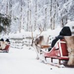 Arctic Circle Highlights Family Day - What Travelers Say: Authentic Praise