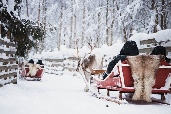 Arctic Circle Highlights Family Day - What Travelers Say: Authentic Praise