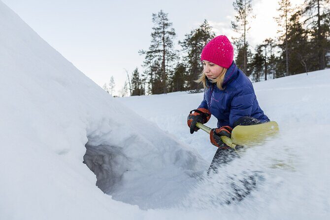 Arctic Day  A 6 hours Survival Workshop - Authentic Experiences Backed by Happy Travelers
