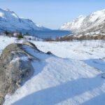 Arctic fjord and Landscape Tour - A Deep Dive into the Arctic Fjord and Landscape Tour