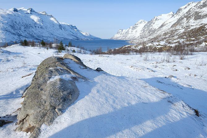 Arctic fjord and Landscape Tour - A Deep Dive into the Arctic Fjord and Landscape Tour