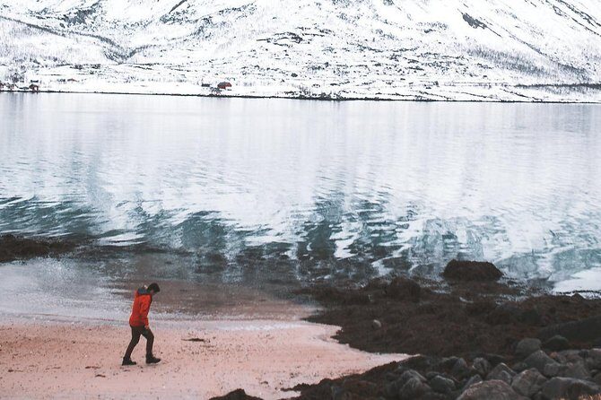 Arctic Fjord Sightseeing by Minibus - What’s Included and What’s Not