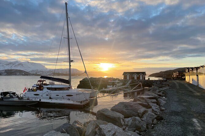 Arctic Fjordcruise & Safari in Tromso with Luxury Catamaran - Wildlife & Scenery