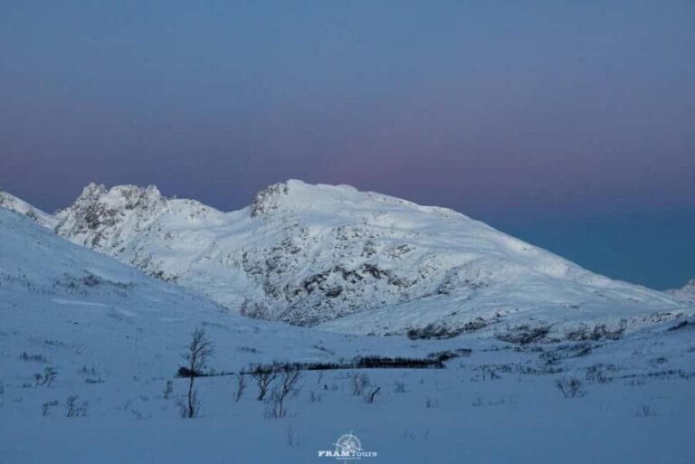 Arctic hike on Kvaløya Island with drinks and snacks - Exploring Kvaløya’s Arctic Beauty with FRAMTours