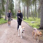 Arctic Hiking with Lappish Dogs - Who Will Love This Tour?
