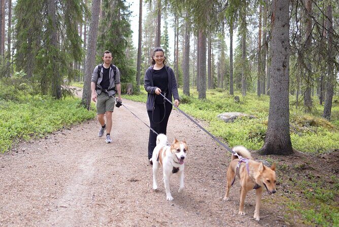 Arctic Hiking with Lappish Dogs - Who Will Love This Tour?