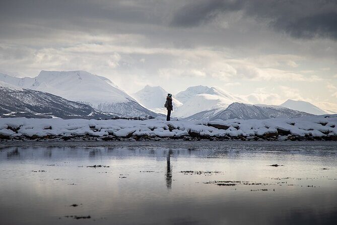 Arctic Landscapes Hiking, Sightseeing & Snowshoeing Private Tour - Detailed Breakdown of the Itinerary