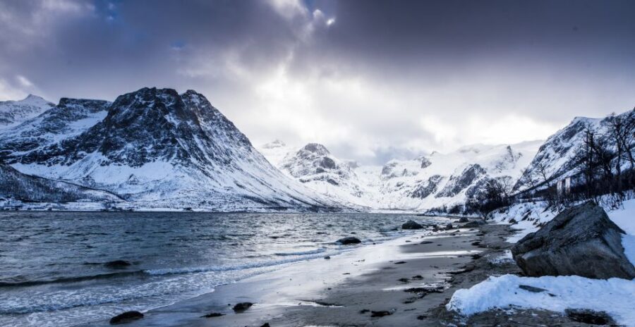 Arctic Nature Tour from Tromsø - The Itinerary Breakdown: What to Expect