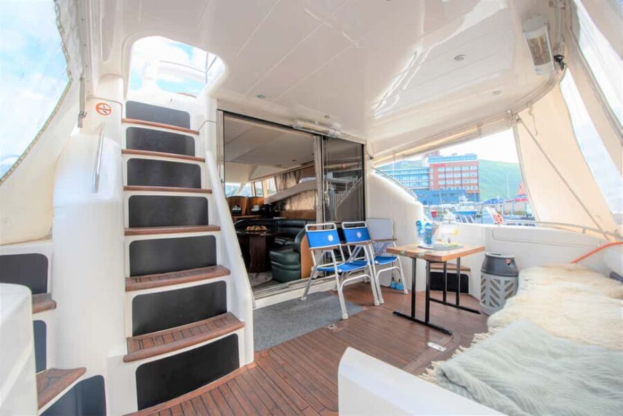 Arctic Whale Watching: Tromsø to Skjervøy in Comfort - The Whale Watching: What to Expect