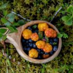 Arctic Wilderness Hike with Fire-making - The Sum Up