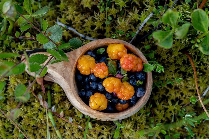 Arctic Wilderness Hike with Fire-making - The Sum Up