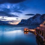 Arctic Wildlife and Fjord Sightseeing - Genuine Wildlife Encounters and Local Culture