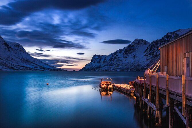 Arctic Wildlife and Fjord Sightseeing - Genuine Wildlife Encounters and Local Culture