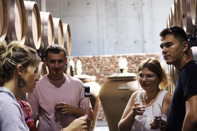 Ardèche: Wine workshop at Domaine les Amoureuses - A Closer Look at the Ardèche Wine Workshop