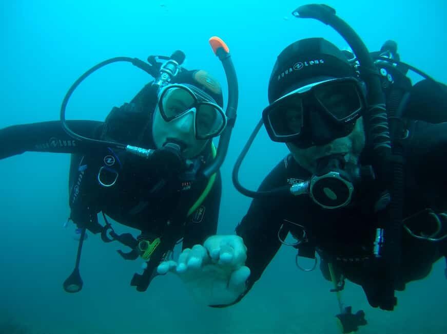 Argelès-sur-Mer : first dive in the Marine Natural Park - Why This Tour Offers Real Value