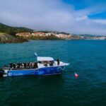 Argelès-sur-Mer: snorkeling into the Marine Natural Park - Who Will Enjoy This Tour?