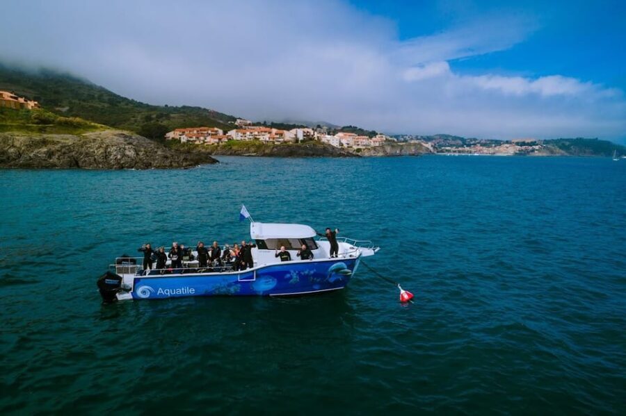 Argelès-sur-Mer: snorkeling into the Marine Natural Park - Who Will Enjoy This Tour?
