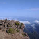 Arieiro Peak and Cristo Rei 4x4 Experience + Dolphins Watching - Why the Experience Offers Great Value