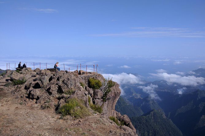Arieiro Peak and Cristo Rei 4x4 Experience + Dolphins Watching - Why the Experience Offers Great Value