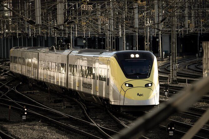Arlanda Express Train Airport and Stockholm City Transfer - Authentic Traveler Feedback