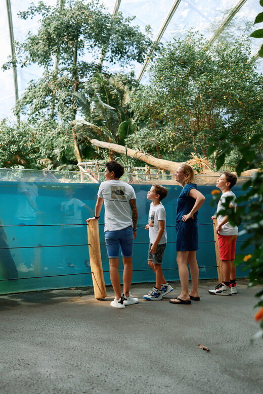 Arnhem: Burgers' Zoo Entry Ticket - The Tropical Rainforest: The Bush
