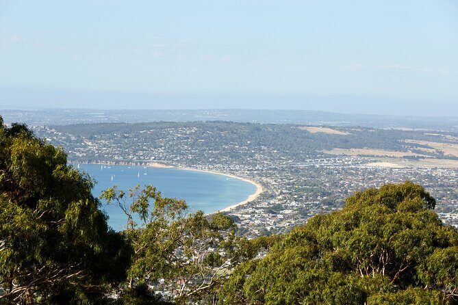 Around the Bay Food and Wine Taste Trail - Who Should Consider This Tour?