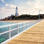 Around the Bay Sightseeing and Bay Cruise - What the Reviews Say