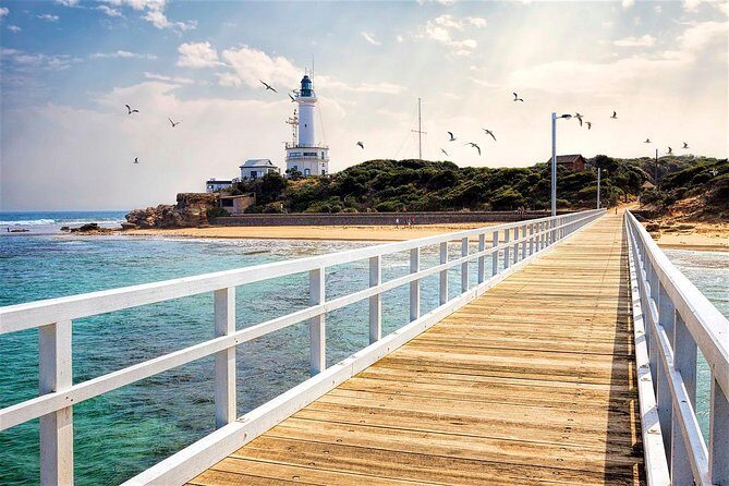 Around the Bay Sightseeing and Bay Cruise - What the Reviews Say