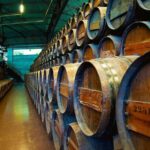 Arrabida and Bacalhoa Wine Tasting Private Tour from Lisbon - Transportation, Group Size, and Practicalities