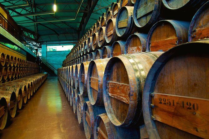 Arrabida and Bacalhoa Wine Tasting Private Tour from Lisbon - Transportation, Group Size, and Practicalities