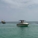 Arrábida: Boat Tour along the Coast - Comfort and Convenience
