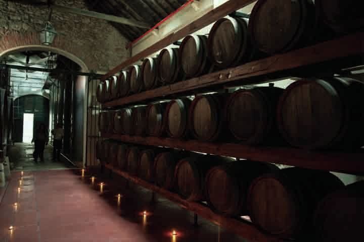 Arrábida: Full-Day Private Tour with Wine Tasting - Who Should Consider This Tour?